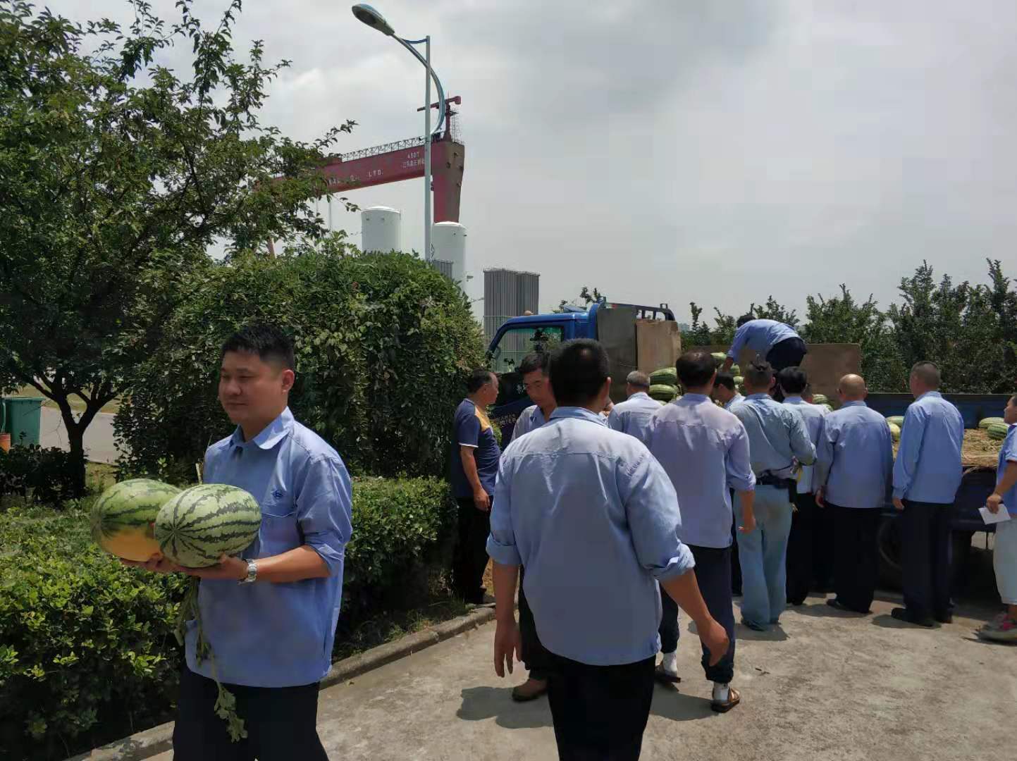 1564054944437208.jpg 1564054944437208.jpg